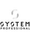 System Professional